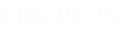 攻击网站的方法